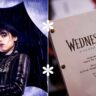 Cast Announcements for 'Wednesday' Season 2